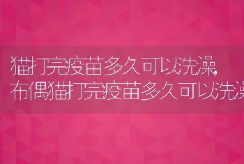 猫打完疫苗多久可以洗澡，布偶猫打完疫苗多久可以洗澡