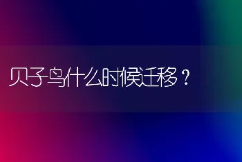 贝子鸟什么时候迁移？