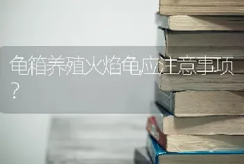 我家有一只公猫，整天发出“咕咕”的声音，又很粘人，这是干嘛？