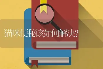 飞耳比熊犬的优点和缺点？