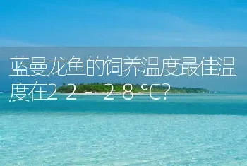 蓝曼龙鱼的饲养温度最佳温度在22-28℃？