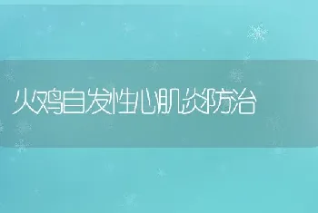 火鸡自发性心肌炎防治