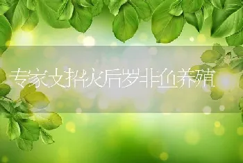 专家支招灾后罗非鱼养殖