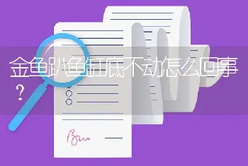 金鱼趴鱼缸底不动怎么回事？