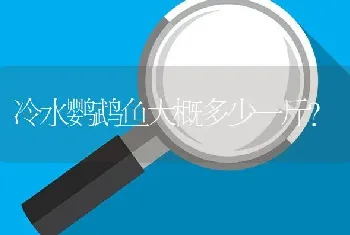 冷水鹦鹉鱼大概多少一斤？