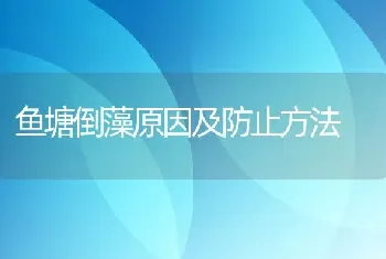 鱼塘倒藻原因及防止方法