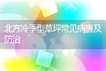 北方冷季型草坪常见病害及防治