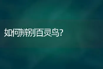 狸猫多大开始不皮？