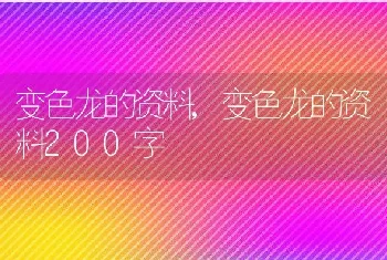 变色龙的资料，变色龙的资料200字