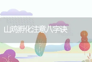 蝎毒的干燥与保存