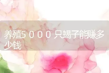 养殖5000只蝎子能赚多少钱