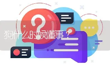 狗什么时候懂事？