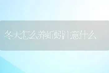 冬天怎么养蚯蚓注意什么