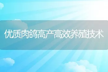 优质肉鸽高产高效养殖技术