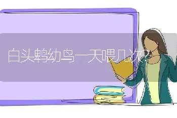 白头鹎幼鸟一天喂几次？