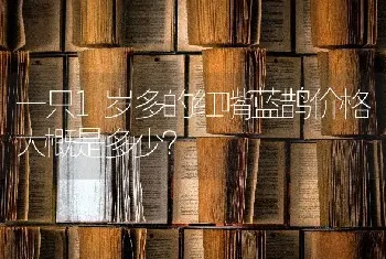 一只1岁多的红嘴蓝鹊价格大概是多少？