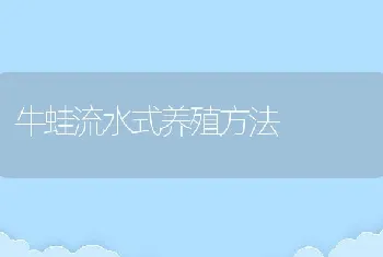 牛蛙流水式养殖方法