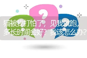 猫被我打怕了，见我就跑，多长时间会好？我该怎么办？