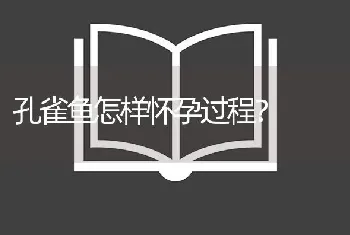 孔雀鱼怎样怀孕过程？