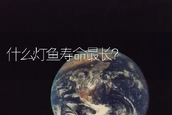 什么灯鱼寿命最长？