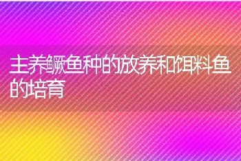 主养鳜鱼种的放养和饵料鱼的培育