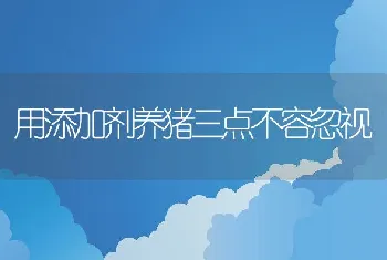 用添加剂养猪三点不容忽视