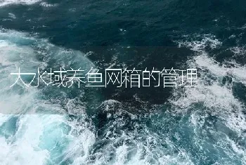 大水域养鱼网箱的管理