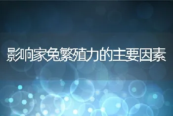 鱼类越冬期间常见病害及防治