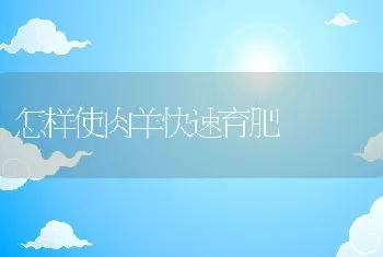 水色发红的情况与初处置办法