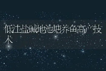 低洼盐碱地池塘养鱼高产技术