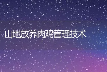 山地放养肉鸡管理技术