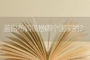 伯恩山犬好养么?有没有体臭。怎么照顾？