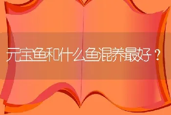 元宝鱼和什么鱼混养最好？