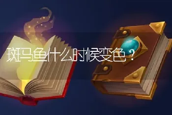 斑马鱼什么时候变色？