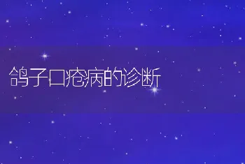 鸽子口疮病的诊断