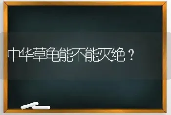 中华草龟能不能灭绝？