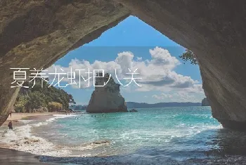 夏养龙虾把八关