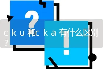 cku和cka有什么区别？