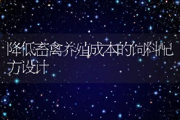 降低畜禽养殖成本的饲料配方设计