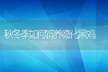 狐人工授精的优缺点