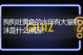 狗狗吐黄色的水伴有大量泡沫是什么原因？