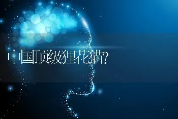 怎么分辨白色雪纳雪纳瑞犬的颜色及性格？