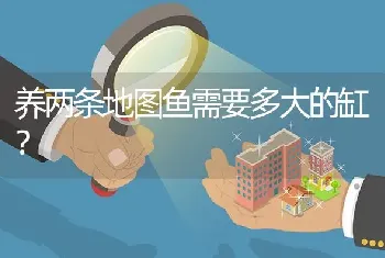 养两条地图鱼需要多大的缸？