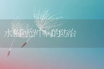 水貂阿留申病的防治