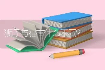 狮子与猫有什么不同？