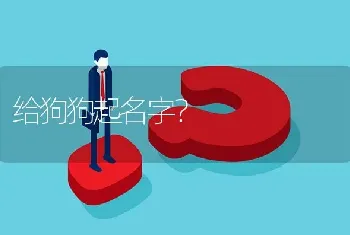 给狗狗起名字？