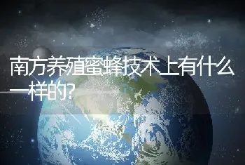 南方养殖蜜蜂技术上有什么一样的？