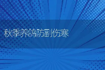 秋季养鸽防副伤寒