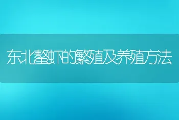 东北螯虾的繁殖及养殖方法