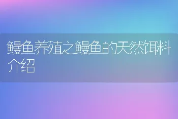 秸杆氨化饲料的制作方法